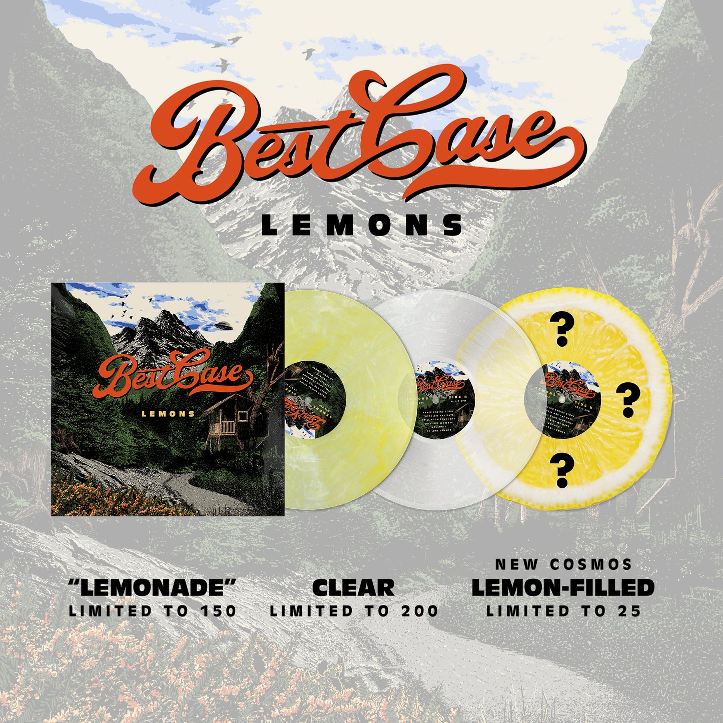 Best Case "Lemons" Vinyl LP